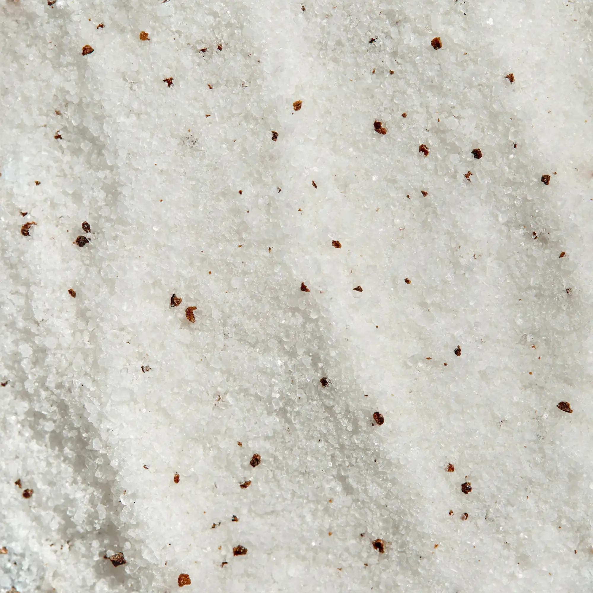 Black Truffle Sea Salt | Chef Collection - Image 3